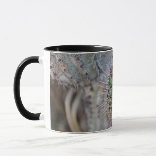 Kaktus Tasse (Links)