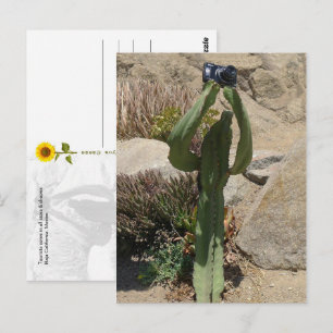 Kaktus Tourist - Postkarte