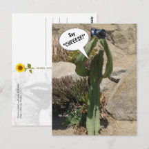 Kaktus Tourist, sag CHEESE - Postkarte