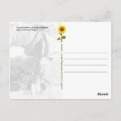 Kaktus Tourist, sagen Sie CHEEESE - Postkarte (Rückseite)