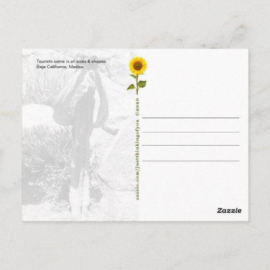 Kaktus Tourist, sagen Sie CHEEESE - Postkarte (Rückseite)