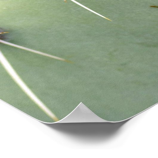 Kaktus und Blume Poster (Ecke)