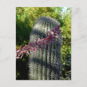 Kaktus und Blume Postkarte
