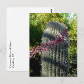Kaktus und Blume Postkarte (Vorne/Hinten)