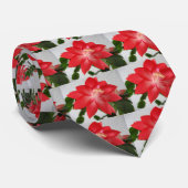 Kaktus, Weihnachtskaktus Krawatte (Gerollt)