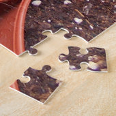 Kaktus-Welt Puzzle (Seite)