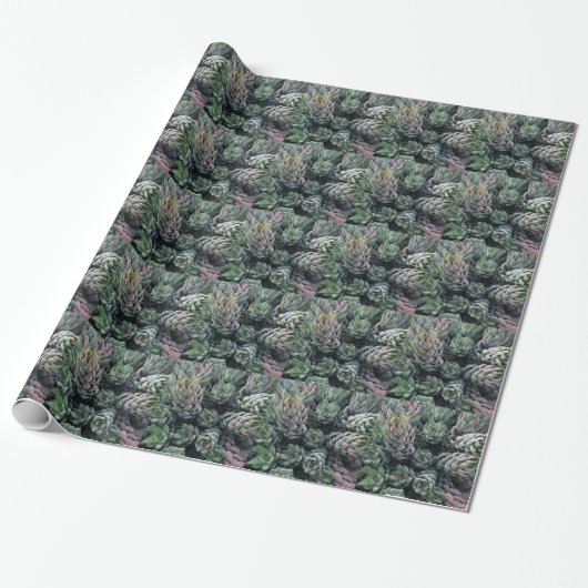 Kaktus Wrapping Paper Geschenkpapier (Ungerollt)