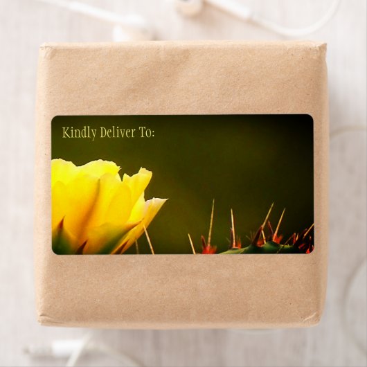 Kaktus-Wüstenwüste-Blume, gelb grün / (Insitu)