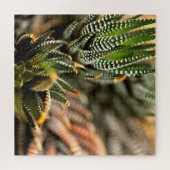 Kaktus zu puzzle (Horizontal)