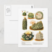 Kaktusarten Postkarte (Vorne/Hinten)