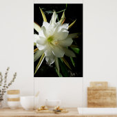 Kaktusblüte Poster (Küche)