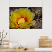 Kaktusblüte Poster (Küche)