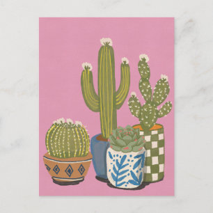 Kaktusblüten Rosa Postkarte