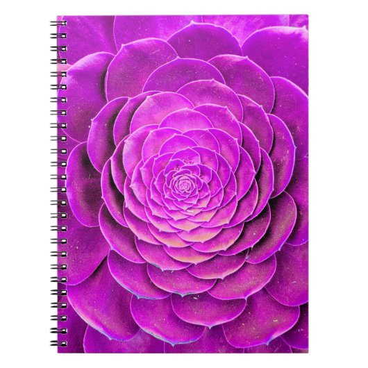 Kaktusblütendesign Notizblock (Vorderseite)