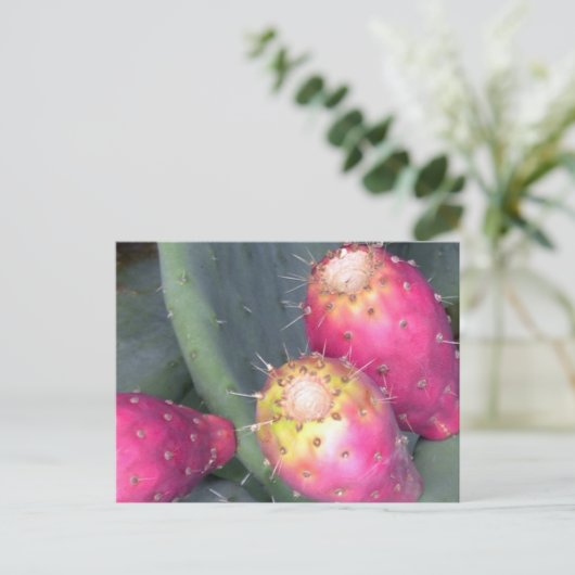 Kaktusfeige-Postkarte Postkarte (Stehend Vorderseite)
