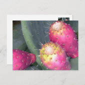 Kaktusfeige-Postkarte Postkarte (Vorne/Hinten)