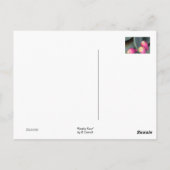 Kaktusfeige-Postkarte Postkarte (Rückseite)