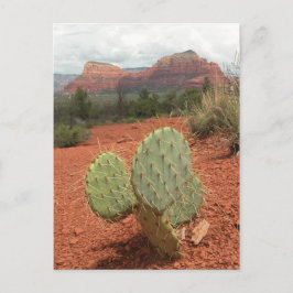 Kaktusfeigekaktus in Sedona, Arizona - Postkarte