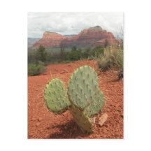 Kaktusfeigekaktus in Sedona, Arizona - Postkarte