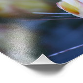 Kaktusknospe Fotodruck (Ecke)