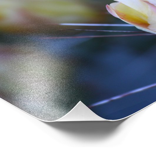 Kaktusknospe Fotodruck (Ecke)