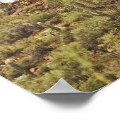 Kaktuslandschaft Arizona Poster (Ecke)