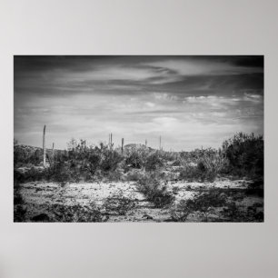 Kaktuslandschaft Poster