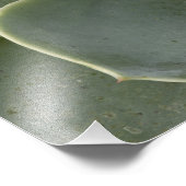 Kaktusmuster Fotodruck (Ecke)