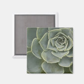 Kaktusmuster Magnet (Vorderseite/Rückseite)