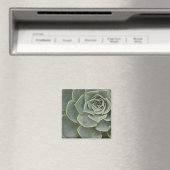 Kaktusmuster Magnet (In Situ (Geschirrspüler))