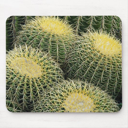 Kaktusmuster Mousepad (Vorne)