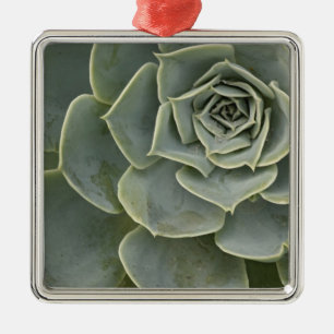 Kaktusmuster Ornament Aus Metall