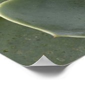 Kaktusmuster Poster (Ecke)