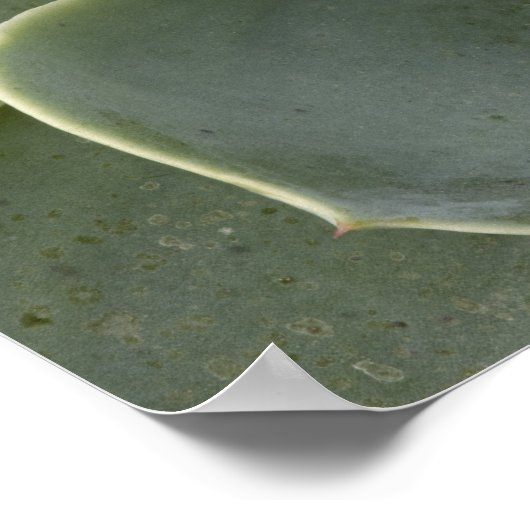 Kaktusmuster Poster (Ecke)