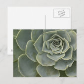 Kaktusmuster Postkarte (Vorne/Hinten)