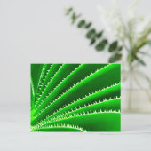 Kaktusmuster Postkarte (Stehend Vorderseite)