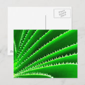 Kaktusmuster Postkarte (Vorne/Hinten)