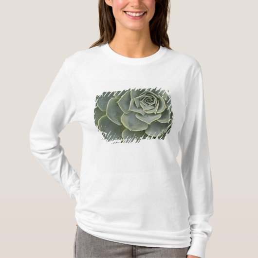 Kaktusmuster T-Shirt (Vorderseite)