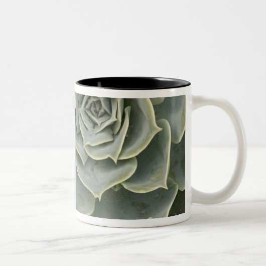 Kaktusmuster Zweifarbige Tasse (Rechts)