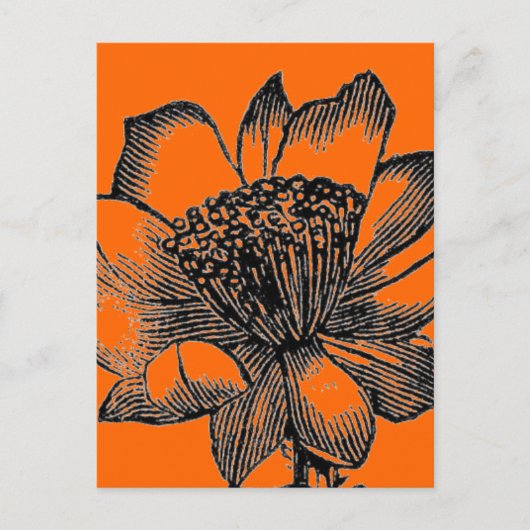 Kaktuspostkarte Postkarte (Vorderseite)