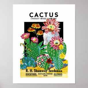Kaktussamenpackungsetikett Poster