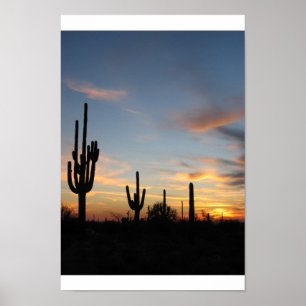 Kaktussonnenuntergang Phoenix Arizona Poster