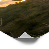 Kaktustage Poster (Ecke)