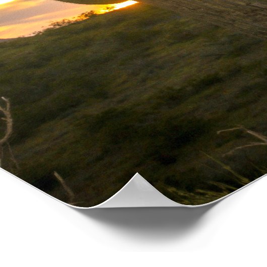 Kaktustage Poster (Ecke)