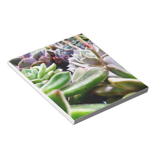 Kaktusvarietät Notizblock (angewinkelt)