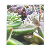 Kaktusvarietät Notizblock (Vorderseite)