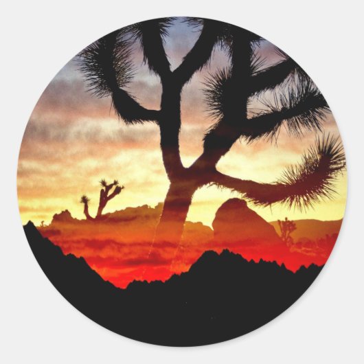 Kaktusvision Runder Aufkleber (Vorderseite)