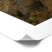 Kalabrien - Arena, Italien Poster (Ecke)