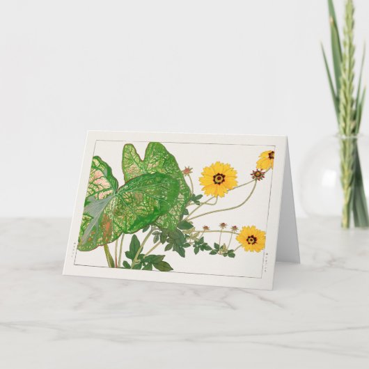 Kaladium mit extravaganter Blätter, Coreopsis von Karte (Vorderseite)