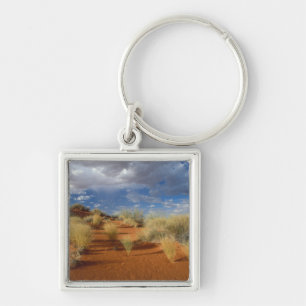 Kalahari Desert Scene, Kgalagadi Transborder 2 Schlüsselanhänger